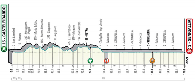 Stage 6 profile